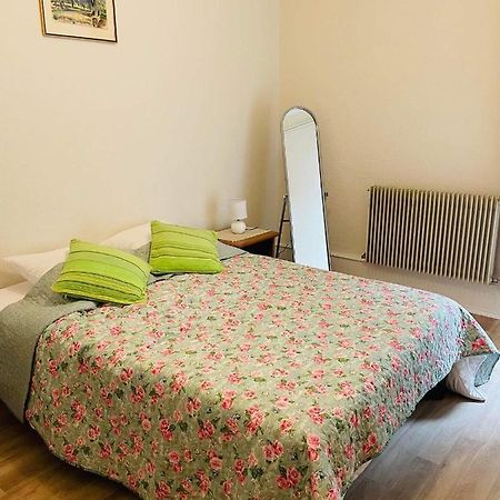 Appartement Cosy Colmar Ngoại thất bức ảnh